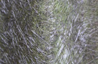 Child Okeford fibreglass roof work